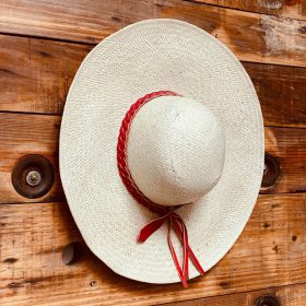 photo_6338885023658259919_y